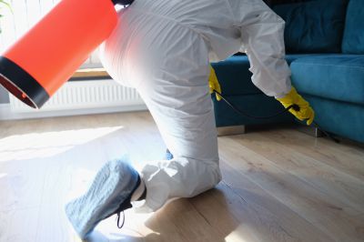 Commercial Fumigation in Madison, WI