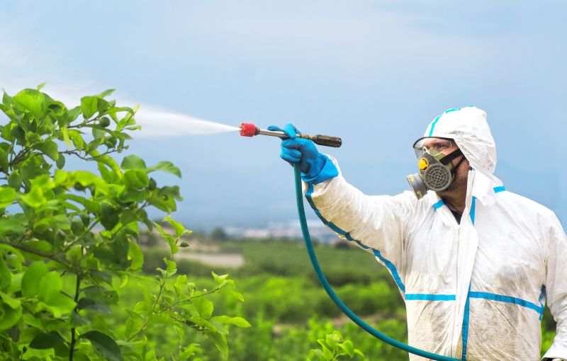 Fumigation Service in Bellingham, WA