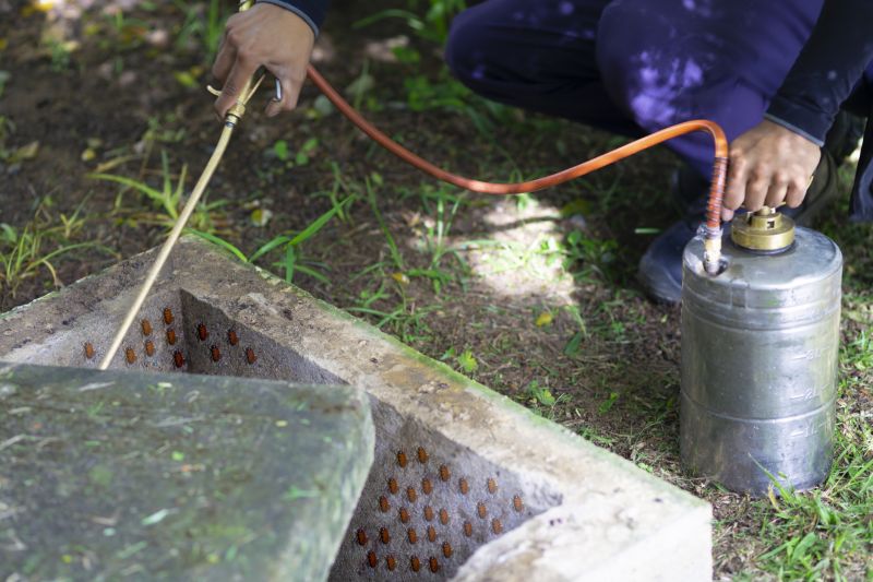 Spider Fumigation Service in Wilmington, NC